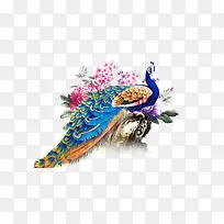 ��ɫ��ȸ-������