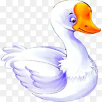 手绘水彩白色的白天鹅-空若网 手绘水彩白色的白天鹅-空若网