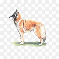 �ֻ湷��-������