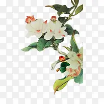 纯净白色花束-空若网 纯净白色花束-空若网