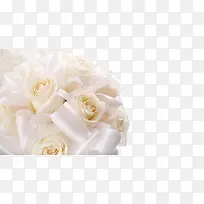 ��ɫõ�廨��-������