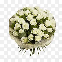 白色玫瑰-空若网 白色玫瑰-空若网