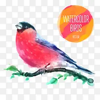 漂亮小鸟飞到树枝上-空若网 漂亮小鸟飞到树枝上-空若网