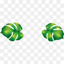 两片对称的绿色叶子-空若网 两片对称的绿色叶子-空若网
