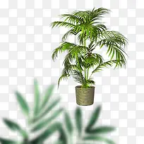 产品实物绿色花盆盆栽-空若网 产品实物绿色花盆盆栽-空若网