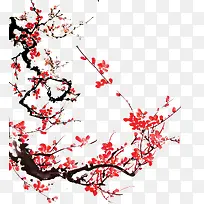 红色梅花-空若网 红色梅花-空若网