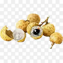 手绘水果彩色龙眼-空若网 手绘水果彩色龙眼-空若网