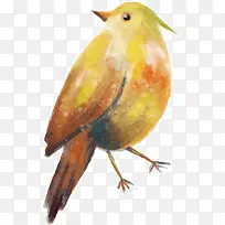 啄木鸟装饰手绘卡通-空若网 啄木鸟装饰手绘卡通-空若网