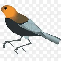 ��ͨ��ľ��װ��ʸ���ز�-������