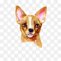 卡通可爱小动物装饰设计动物头像-空若网 卡通可爱小动物装饰设计动物头像-空若网