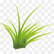 ��ɫ�Ĳ�-������