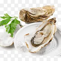 �������-������