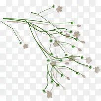 白色小花忘忧草-空若网 白色小花忘忧草-空若网