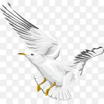 海鸥装饰设计矢量图案-空若网 海鸥装饰设计矢量图案-空若网