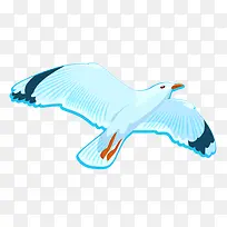 卡通装饰海洋生物海报设计海鸥-空若网 卡通装饰海洋生物海报设计海鸥-空若网