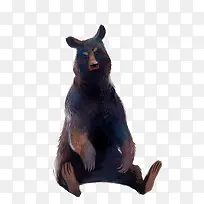 动物-空若网 动物-空若网