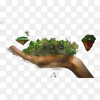 ���������ɫɭ��-������