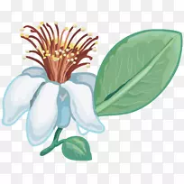 ���������-��ɫ����-������