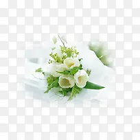 白色花朵-空若网 白色花朵-空若网