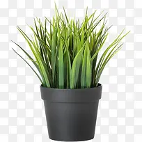 �����辰-������