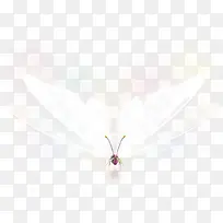 Ãλ÷¢¹âºûµû-¿ÕÈôÍø Ãλ÷¢¹âºûµû-¿ÕÈôÍø