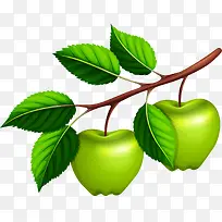 ʸ���ֻ���֦�ϵ�ƻ��-������