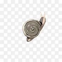 爬行的蜗牛-空若网 爬行的蜗牛-空若网