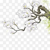 花枝-空若网 花枝-空若网