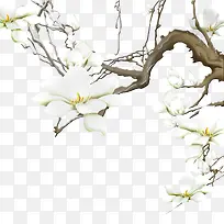 花枝-空若网 花枝-空若网