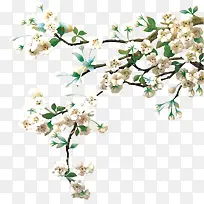 花枝-空若网 花枝-空若网