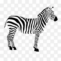 ��ͨ�ɰ�С����װ�ζ���ͷ��-������