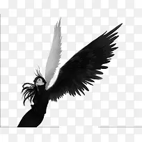 �ڰ׶Ա�-������