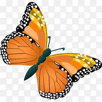 黄色卡通蝴蝶-空若网 黄色卡通蝴蝶-空若网