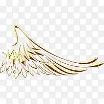 金色的翅膀-空若网 金色的翅膀-空若网