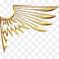 黄色的翅膀-空若网 黄色的翅膀-空若网