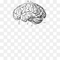 �ֻ����-������