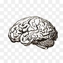 �ֻ����-������