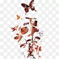 ������http��cookie��agritur��malga arpaco������Ϳѻ-������