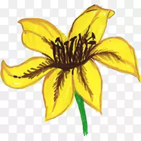 Ë®²Ê»³£¼ûµÄÏòÈÕ¿û¼Ù±»¨Ë®²Ê»-¿ÕÈôÍø Ë®²Ê»³£¼ûµÄÏòÈÕ¿û¼Ù±»¨Ë®²Ê»-¿ÕÈôÍø