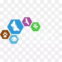 生物多样性科学研究项目-生机勃勃-空若网 生物多样性科学研究项目-生机勃勃-空若网