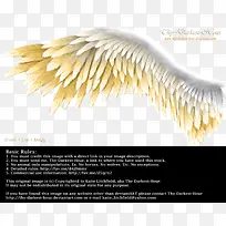 ���-������