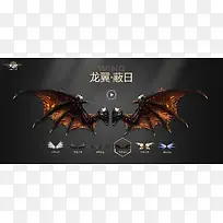 翅膀-空若网 翅膀-空若网