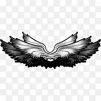 炫酷质感游戏翅膀-空若网 炫酷质感游戏翅膀-空若网