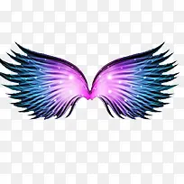 翅膀-空若网 翅膀-空若网