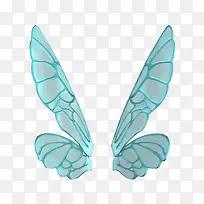 翅膀-空若网 翅膀-空若网