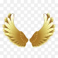 游戏金色翅膀-空若网 游戏金色翅膀-空若网