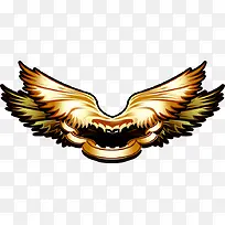 ��ɫ�ſ���Ϸ���-������