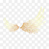 手绘翅膀-空若网 手绘翅膀-空若网