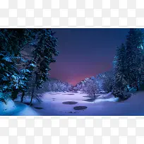 ����ɭ����������-������