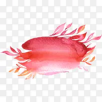 Ë®²ÊЧ¹û-¿ÕÈôÍø Ë®²ÊЧ¹û-¿ÕÈôÍø